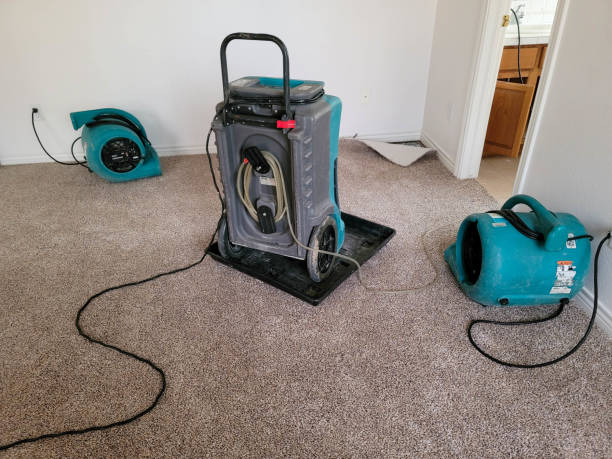 Best Basement water damage restoration  in Keizer, OR