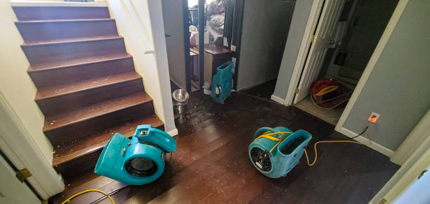 Best Water damage cleanup near me  in Keizer, OR