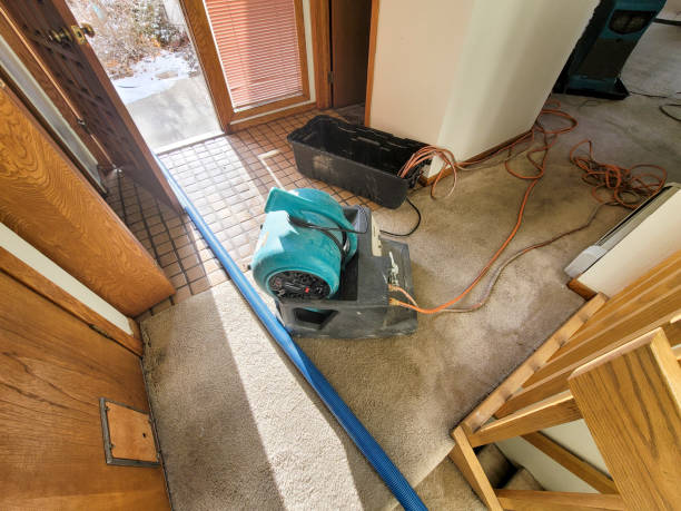 Best Carpet water damage restoration  in Keizer, OR