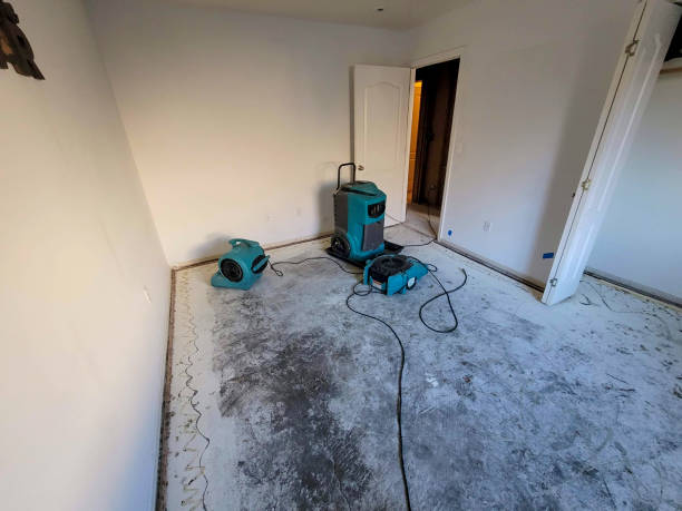 Best Water damage restoration near me  in Keizer, OR