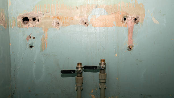 Best Flooded house restoration  in Keizer, OR