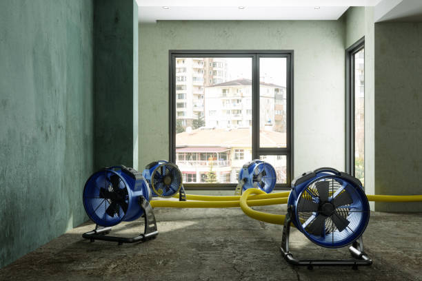  Keizer, OR Water damage restoration Pros